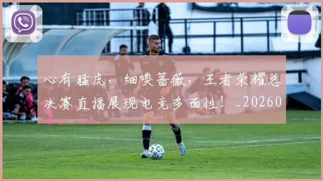 心有猛虎,细嗅蔷薇,王者荣耀总决赛直播展现电竞多面性!_20260704173933