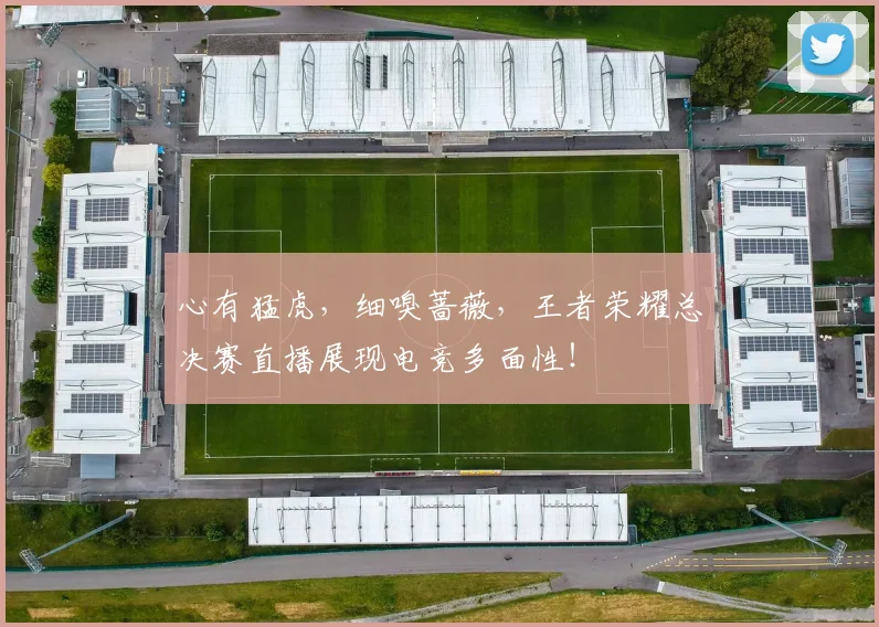 心有猛虎,细嗅蔷薇,王者荣耀总决赛直播展现电竞多面性!