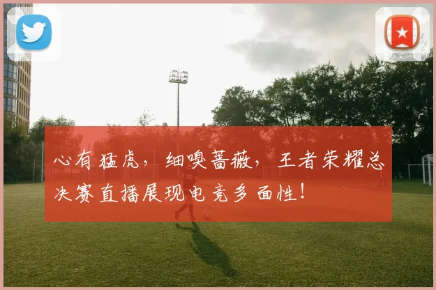 心有猛虎，细嗅蔷薇，王者荣耀总决赛直播展现电竞多面性！