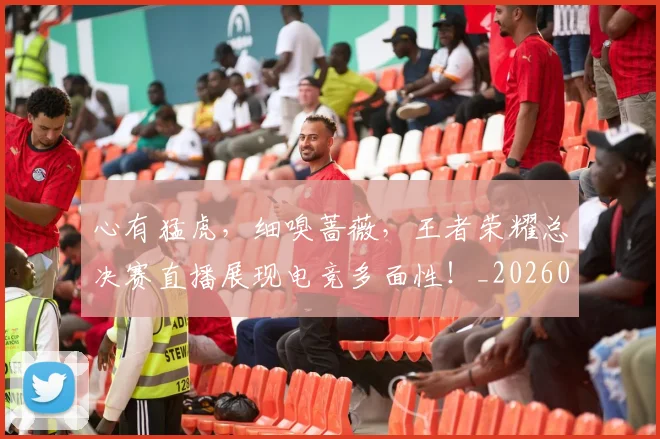 心有猛虎，细嗅蔷薇，王者荣耀总决赛直播展现电竞多面性！_20260704173933